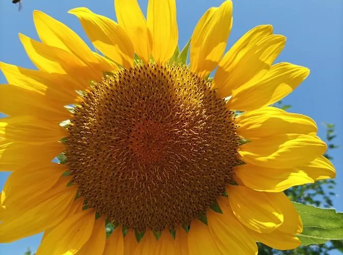 빌라 Thassossweethome